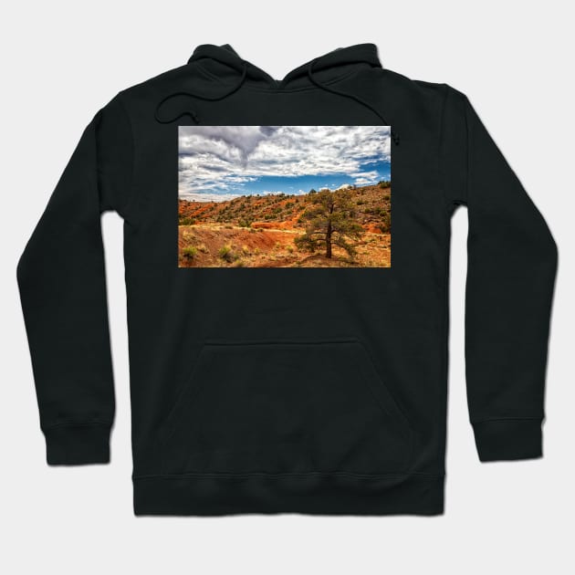 Capitol Reef National Park Hoodie by Gestalt Imagery